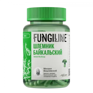 ბაიკალის შლემნიკი