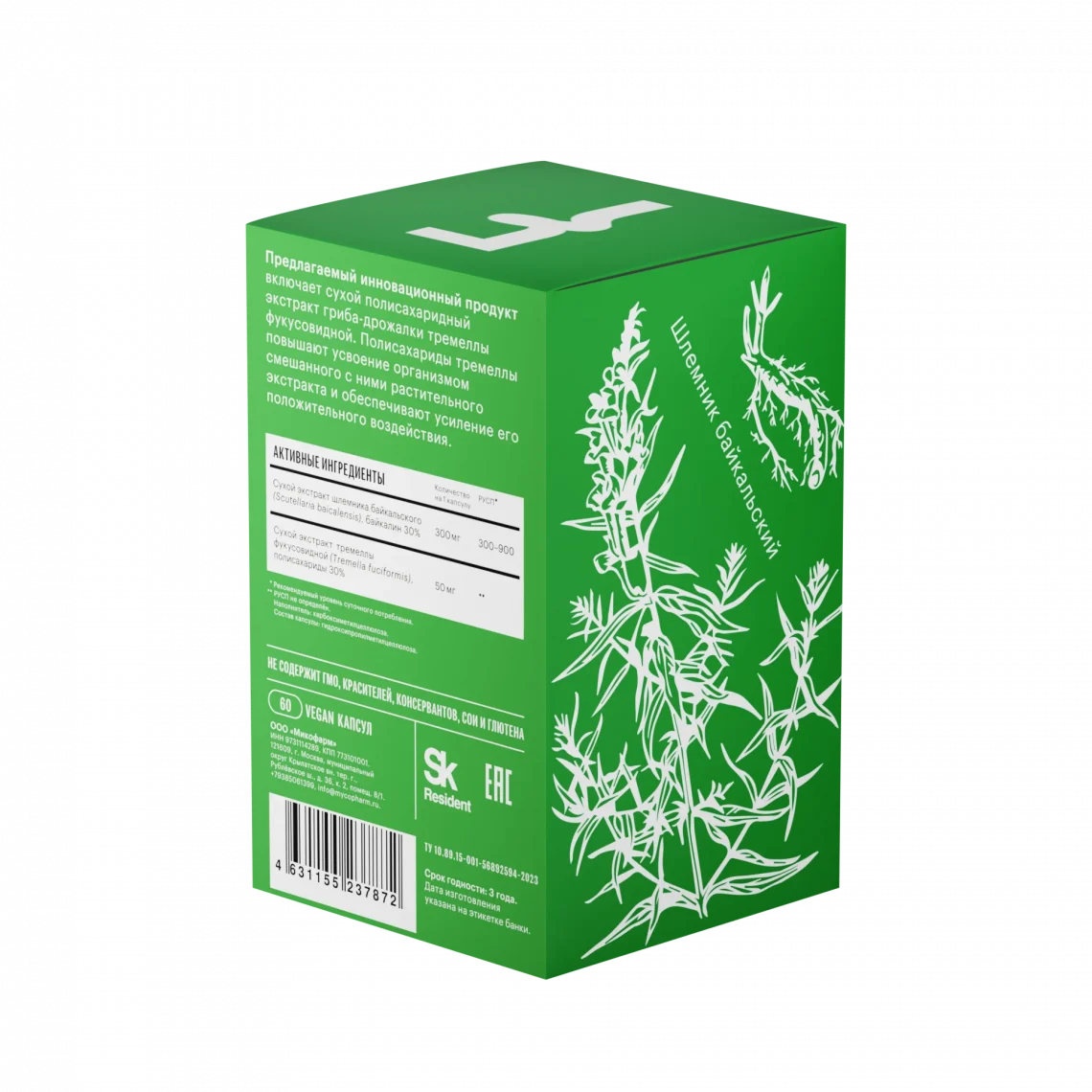 ბაიკალის შლემნიკი