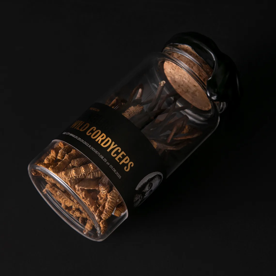 ველური კორდიცეფსი - Ophiocordyceps sinensis