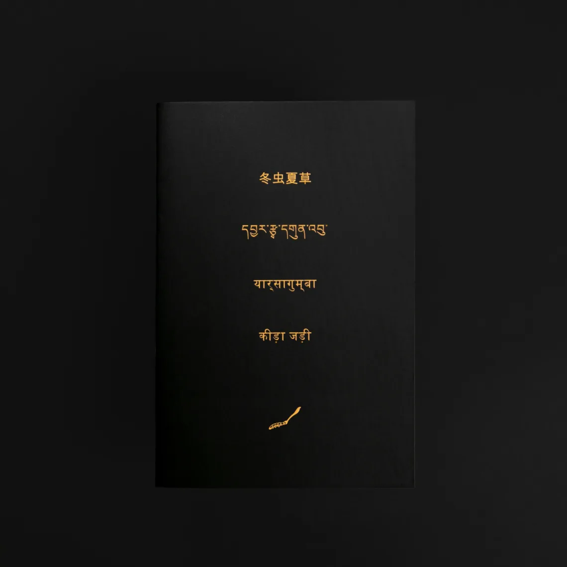 ველური კორდიცეფსი - Ophiocordyceps sinensis