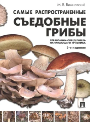 Самые распространенные съедобные грибы: справочник-определитель начинающего грибника