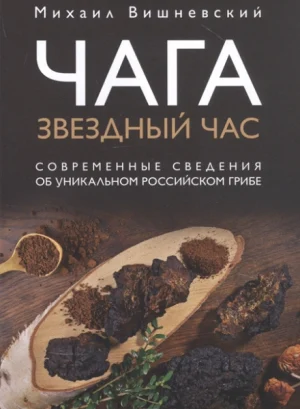 Чага: звездный час. Современные сведения об уникальном российском грибе
